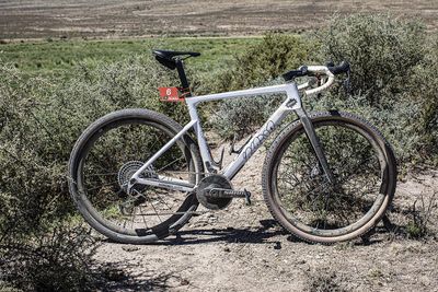 Lukas Pöstlberger’s Rose Backroad FF - a gravel bike outlier