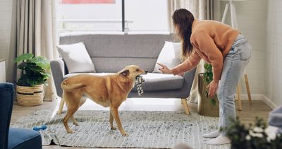 12 Animal Training Tactics Experts Now Call Cruel