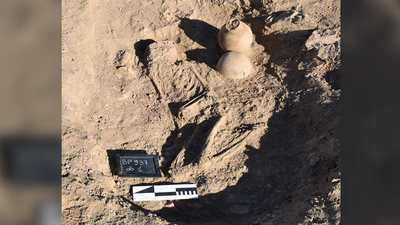 'We do not know of a similar case': 4,000-year-old burial in little-known African kingdom mystifies archaeologists