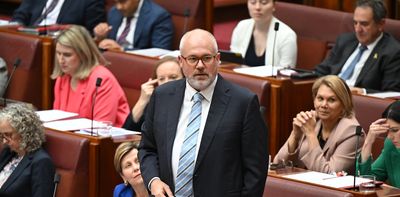 Politics with Michelle Grattan: Tim Ayres on the AI rollout’s looming ‘bumps and glitches’