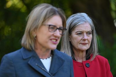 Victorian Labor to introduce stand-alone coercive control offence in backflip to match opposition policy