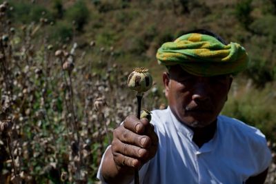 Myanmar opium cultivation hit highest level in a decade, UN report says