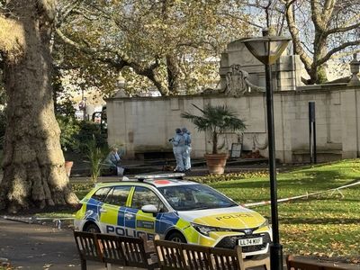 Westminster rape horror: Manhunt launched after young woman sexually assaulted in historic park near Whitehall