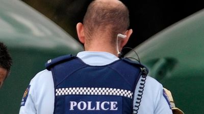 New Zealand man in custody after swallowing stolen €18,000 Fabergé diamond pendant