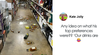 Raccoon Raids Liquor Store And Ends Up Passed Out In The Bathroom, Sparking Hilarious Reactions