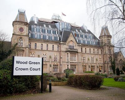 Paedophile pleads guilty to sexually assaulting toddlers at London nursery