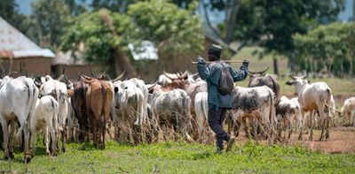 Africa’s drylands need the right kind of support – listening to the pastoralists who live there