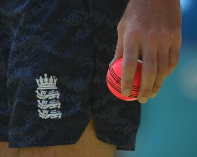 In the pink? Cricket bosses and players still not seeing benefit of day-night Tests