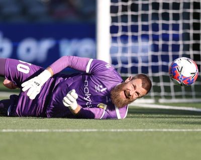 A-League Men players’ patience wearing thin with APL facing suite of issues, union report shows