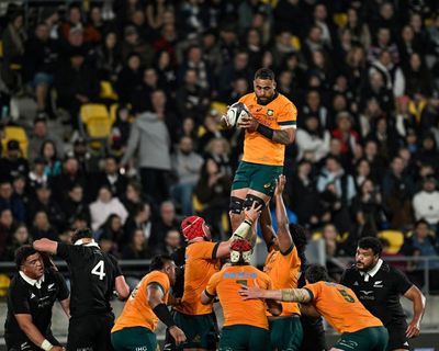 Wallabies must improve as World Cup draw delivers daunting All Blacks clash