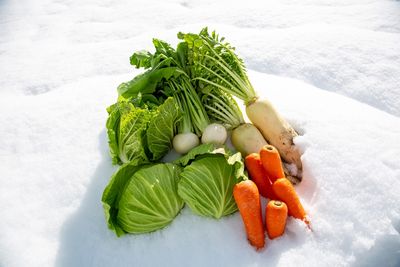 Can You Actually Grow Vegetables Outside in December?
