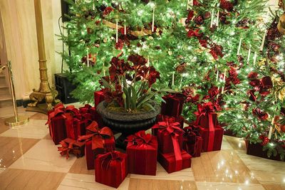 Wait, Did Melania Trump Just Copy This Pinterest-Viral Christmas Tree for the White House's Decorating Scheme?