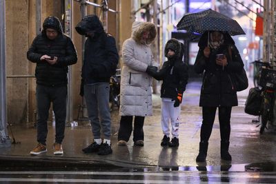 The berry packed with antioxidants that could shorten your winter cold