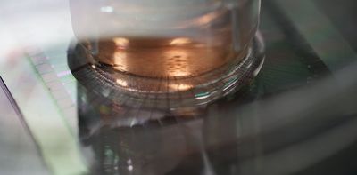 How scientists are growing computers from human brain cells – and why they want to keep doing it