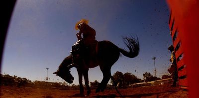 Andrew Pippos’ The Transformations: a touching story of love, loss and newspapers