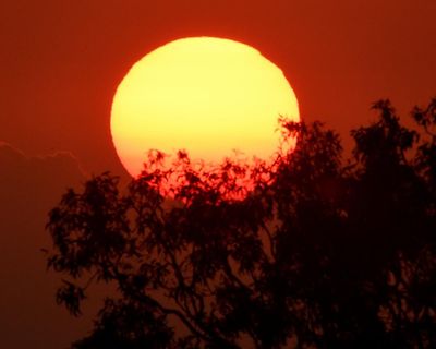 Heatwave warning for large parts of Australia as temperatures expected to reach low 40s