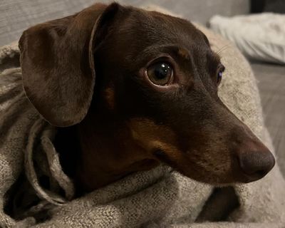 Thursday news quiz: final curtain calls and fiendish questions