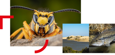 How Queen’s University Belfast became a global hub for decoding Earth’s past – and protecting its future