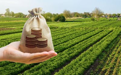 12 Uncommon Assets That Provide True Diversification Globally