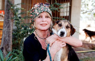 Brigitte Bardot thinks it is a 'miracle' she's alive