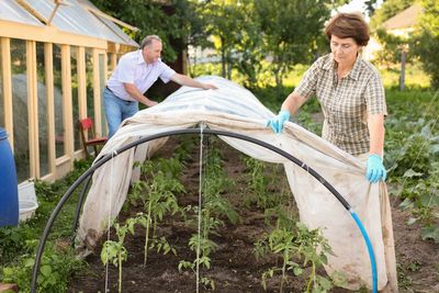 10 DIY Cold-Frame Hacks for Winter Veggies