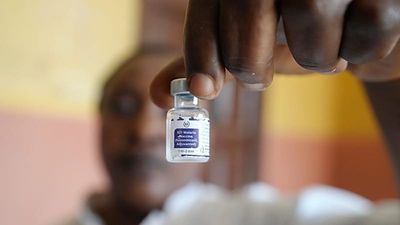 Malaria deaths rose last year as funding cuts risk resurgence, WHO warns