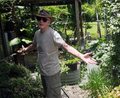 ‘We miss having a dog but it’s the price you pay’: the village that banned pets to save wildlife