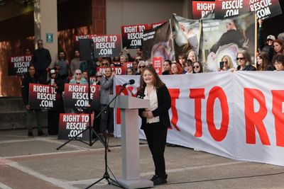 US student who took four chickens after breaking into slaughterhouse sentenced to 90 days in jail