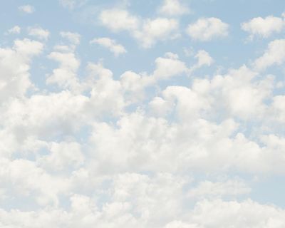 A minimalist statement or just Pantonedeaf? ‘Cloud dancer’ shade of white named Pantone’s 2026 colour of the year