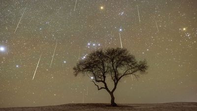 See up to 150 'shooting stars' per hour this weekend as the Geminid meteor shower reaches its stunning peak