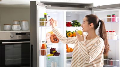 Do this one simple step to prevent a foul-smelling fridge — I learned the hard way