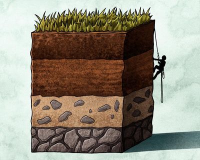 Over a pint in Oxford, we may have stumbled upon the holy grail of agriculture