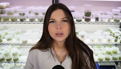 Cloning Is Real? YouTuber Goes Viral After Crashing Rare-Plant Market With Bio Hack
