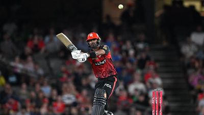 Tailender top-scores in Shield debut for Tasmania