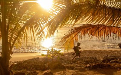 Island guide: the perfect week in Barbados