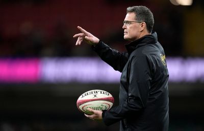 Springboks boss Rassie Erasmus signs long-term contract extension