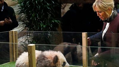 France’s First Lady visits panda breeding research center in China