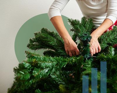 Fir or faux: which Christmas tree is best for the environment?