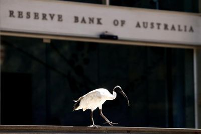Financial markets now certain the RBA will hike interest rates in 2026