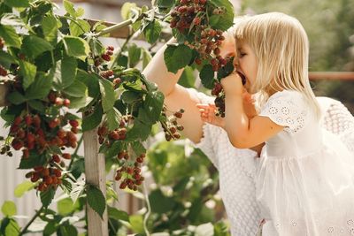 13 Ways to Use Evergreens, Berries & Bark for Winter Garden Interest