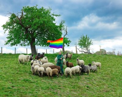 Just not that into ewes: ‘gay sheep’ escape slaughter and take over a New York catwalk