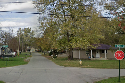 Pit bulls mauled a grandfather and his 3-month-old granddaughter to death inside a Tennessee home