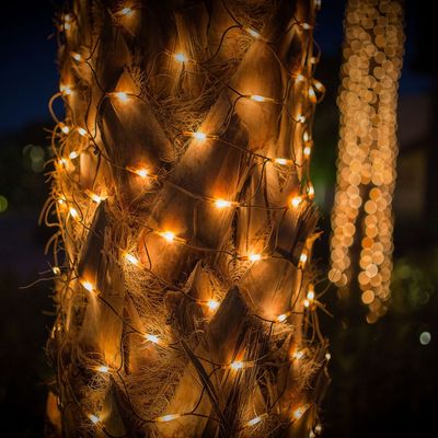 These bestselling £20 net lights from Amazon will transform your garden into a winter wonderland in no time – and you can throw them over anything