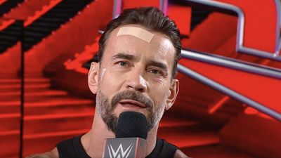 I Love Rom-Coms, But I Did Not See One With WWE Superstar CM Punk Coming