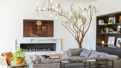 Wait, There's Such a Thing as a 'Plant Artist' for Your Home? The Plant Daddies Are Taking Over LA, Crafting Living Art for Designers and Celebrities Alike