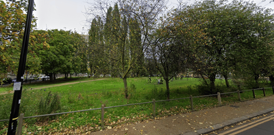 Bethnal Green rape: Woman in her 20s attacked in east London park in horrific incident