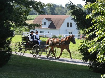 10 Surprising Amish Practices That Defy Their Own Rules
