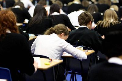 Training for the 11-plus may be making your child less intelligent, experts warn