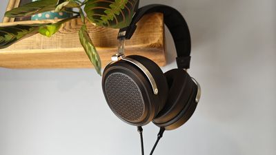 The Fiio FT1 Pro are the perfect entry-level audiophile headphone