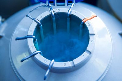 What is polygenic embryo screening in IVF and does it work?